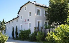 Haus&Hof Guest House